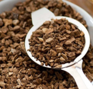 Burdock Root